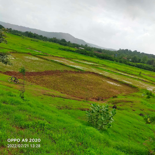  50 Acre Industrial Land for Sale in Mangaon, Raigad