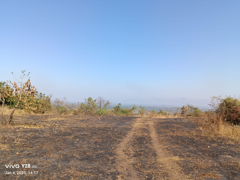  500 Acre Commercial Land for Sale in Mangaon, Raigad