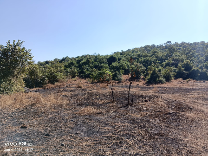  500 Acre Commercial Land for Sale in Mangaon, Raigad