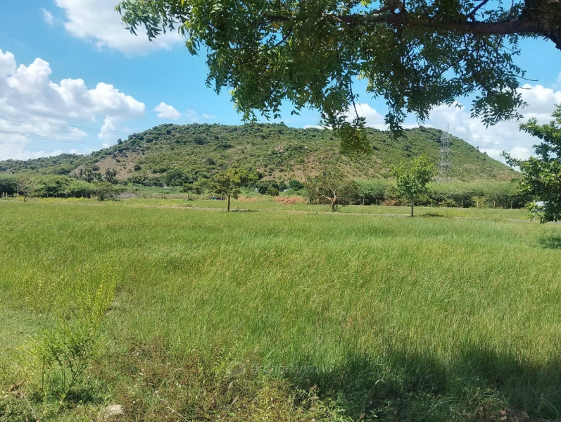  1200 Acre Commercial Land for Sale in Panvel, Navi Mumbai