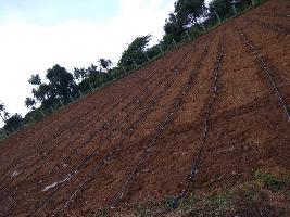  Agricultural Land for Rent in Sidlaghatta, ChikBallapur