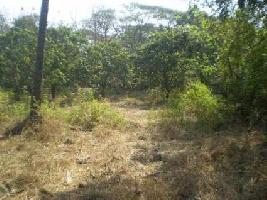  Residential Plot for Sale in Bambolim, North Goa, 