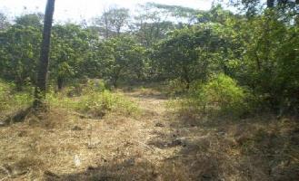  Residential Plot for Sale in Chorao, Goa