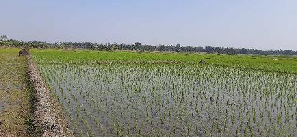  Agricultural Land for Sale in Bangaon, North 24 Parganas