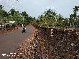  Residential Plot for Sale in Taliparamba, Kannur
