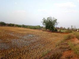  Agricultural Land for Sale in Shamirpet, Jangaon