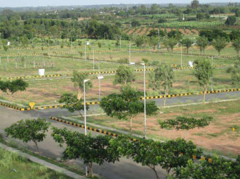  Residential Plot for Sale in Sector 81 Faridabad
