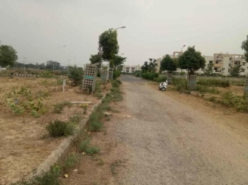  Residential Plot for Sale in Sector 97, Faridabad