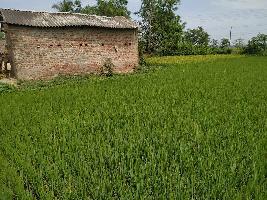  Agricultural Land for Sale in Bishnupur, Bankura