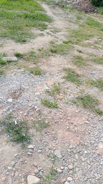  Residential Plot 1800 Sq.ft. for Sale in Joka, Kolkata