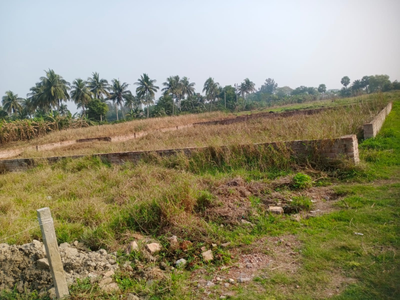  Residential Plot 6 Katha for Sale in Rasapunja, Kolkata