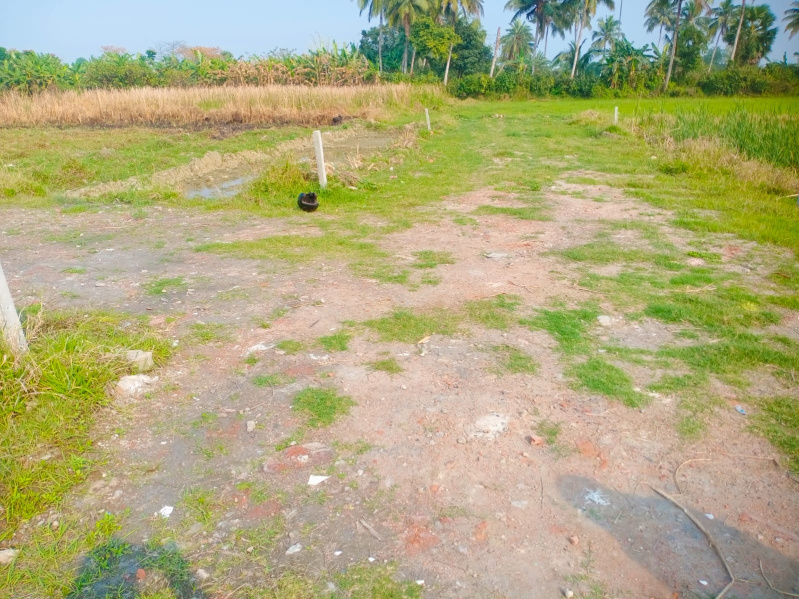  Residential Plot 2 Katha for Sale in Rasapunja, Kolkata