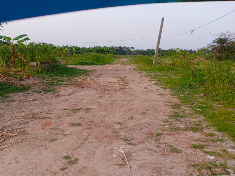  Residential Plot 1440 Sq.ft. for Sale in Joka, Kolkata