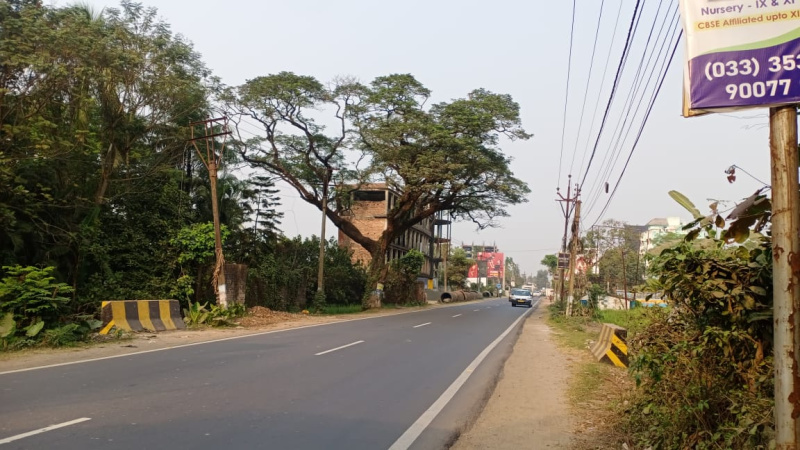  Residential Plot 2 Katha for Sale in Podara, Kolkata