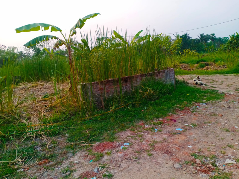  Residential Plot 4 Katha for Sale in Joka, Kolkata