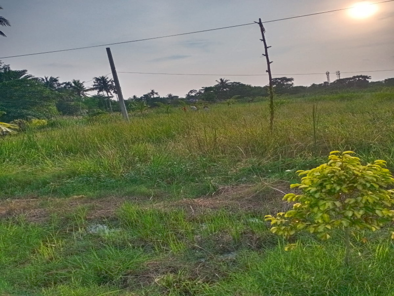  Residential Plot 4 Katha for Sale in Joka, Kolkata