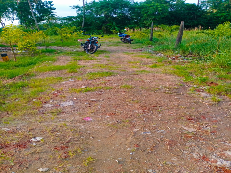  2 Bigha Agricultural/Farm Land for Sale in Joka, Kolkata