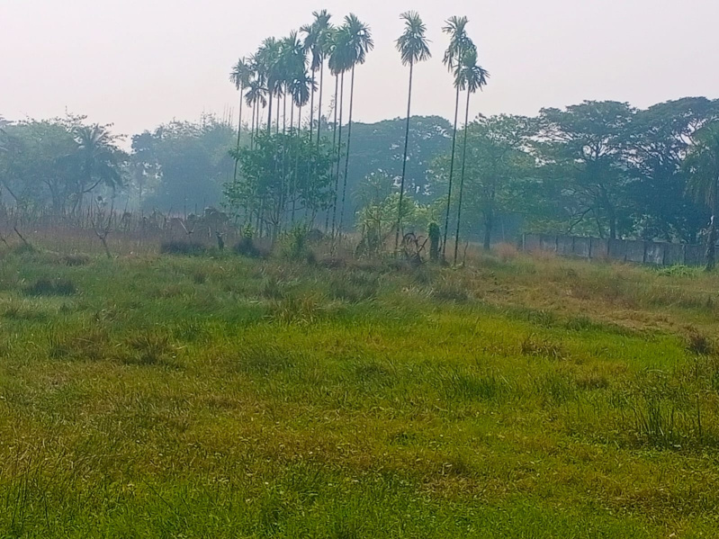  70 Katha Agricultural/Farm Land for Sale in Amtala, Kolkata
