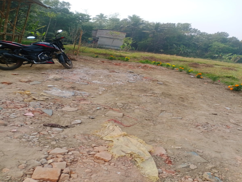  1440 Sq.ft. Residential Plot for Sale in Rasapunja, Kolkata