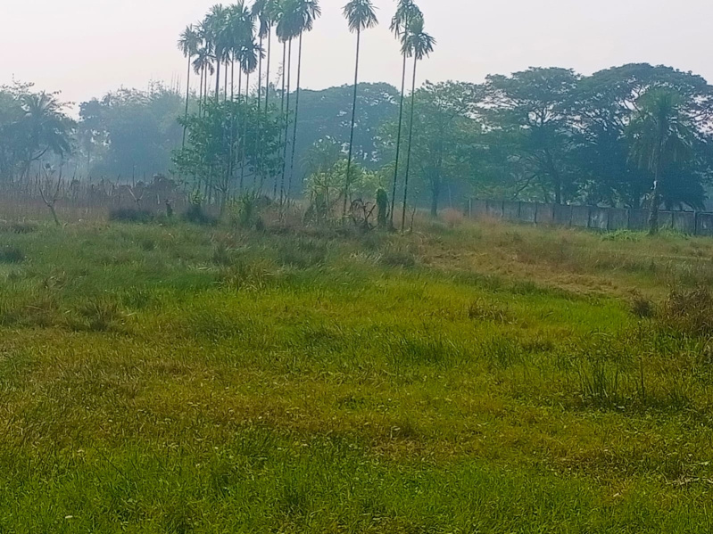  70 Katha Agricultural/Farm Land for Sale in Amtala, Kolkata