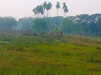  Agricultural Land for Sale in Amtala, South 24 Parganas