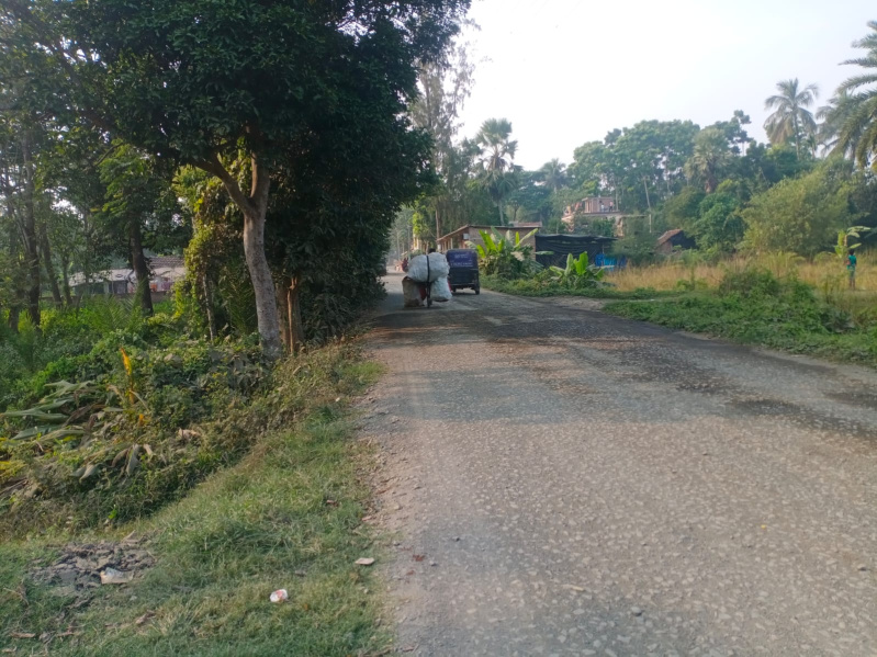  1 Bigha Agricultural/Farm Land for Sale in Amtala, South 24 Parganas