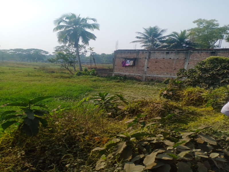 Additional image 3 of Amtala, Kolkata