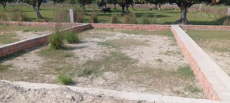  25 Bigha Industrial Land for Sale in Rajgir, Nalanda