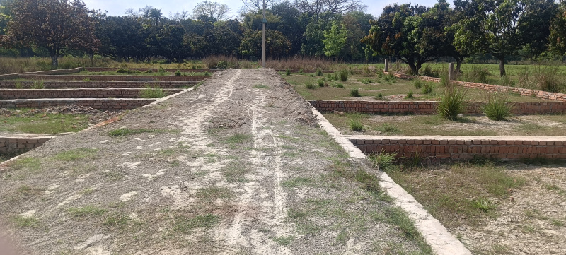  25 Bigha Industrial Land for Sale in Rajgir, Nalanda