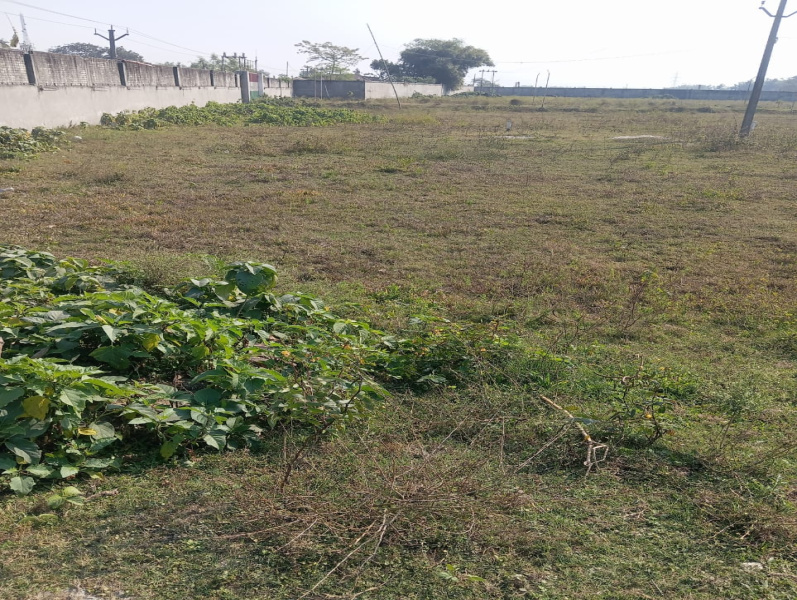  18 Bigha Industrial Land for Sale in Forbesganj, Araria