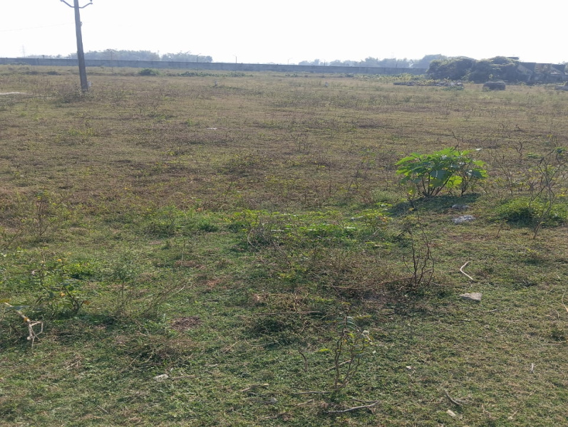  18 Bigha Industrial Land for Sale in Forbesganj, Araria