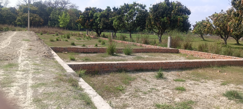  25 Bigha Residential Plot for Sale in Maripur, Muzaffarpur