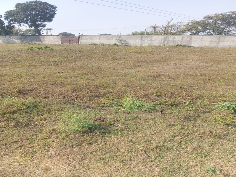  15 Bigha Commercial Land for Sale in Panhans, Begusarai