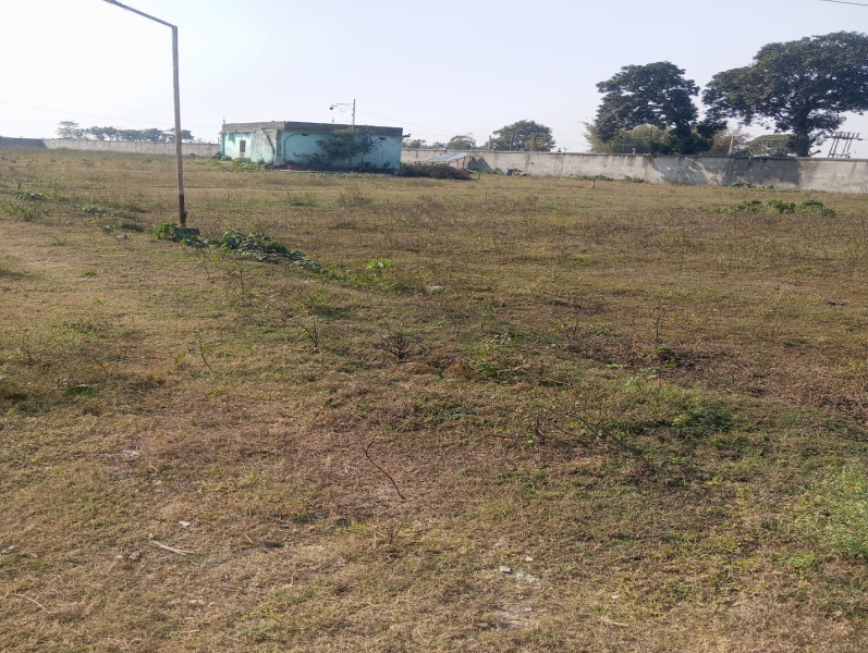 15 Bigha Commercial Land for Sale in Panhans, Begusarai