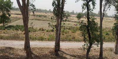  Agricultural Land for Sale in Gomti Nagar Extension, Lucknow