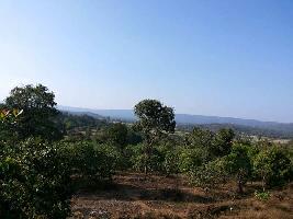  Agricultural Land for Sale in Ajra, Kolhapur