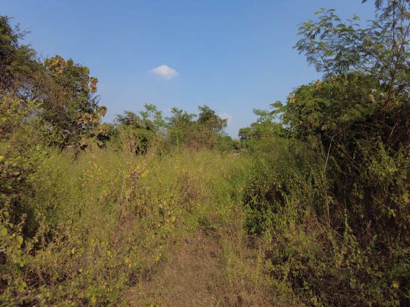 2 Acre Industrial Land for Sale in Kudus, Bhiwandi, Thane (REI1001132)