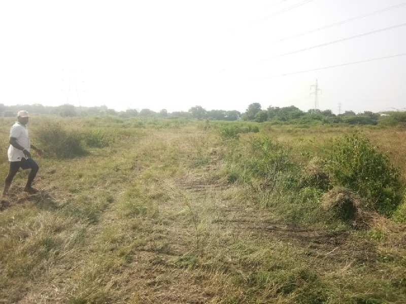 Agricultural Land 17 Acre for Rent in