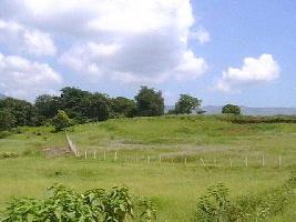  Agricultural Land for Sale in Talawade, Pune