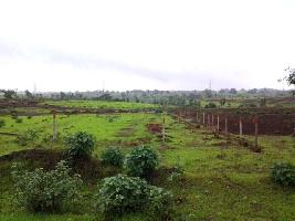  Residential Plot for Sale in Talawade, Pune