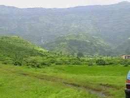  Agricultural Land for Sale in Karla, Pune
