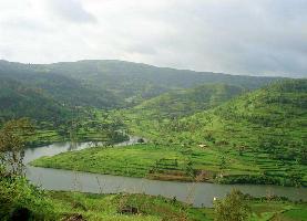  Agricultural Land for Sale in Morba, Raigad