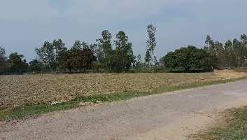  Agricultural Land for Sale in Sandila, Hardoi