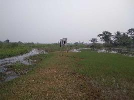  Residential Plot for Sale in Baruipur, South 24 Parganas