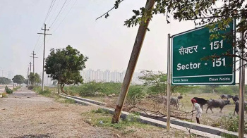  Residential Plot for Sale in Sector 151 Noida