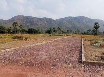  Agricultural Land for Sale in Rajgir, Nalanda