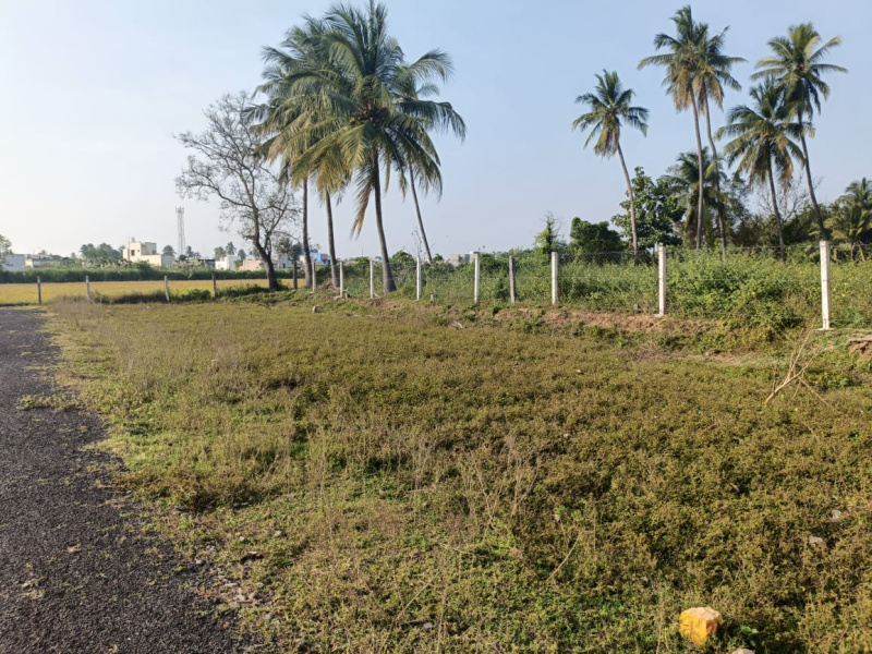  Residential Plot 900 Sq.ft. for Sale in Arisipperiyankuppam, Cuddalore