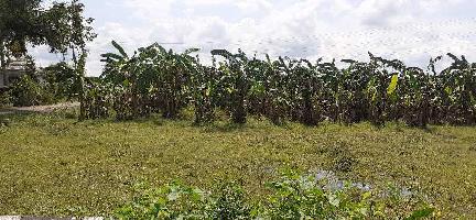  Agricultural Land for Sale in Nellikuppam, Cuddalore