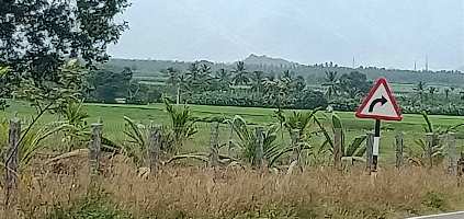  Agricultural Land for Sale in Karayampalayam, Coimbatore