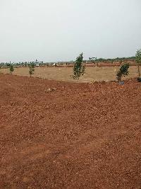  Residential Plot for Sale in Podalakur Road, Nellore